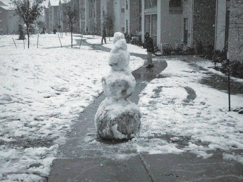 Snowday at UT Dallas