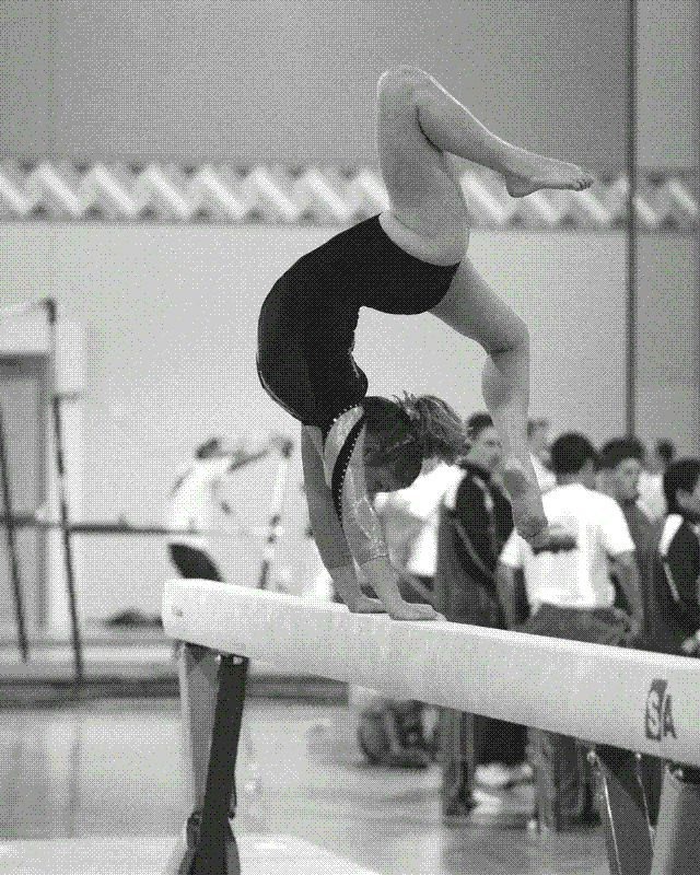 Gymnastics National Chamiponship
