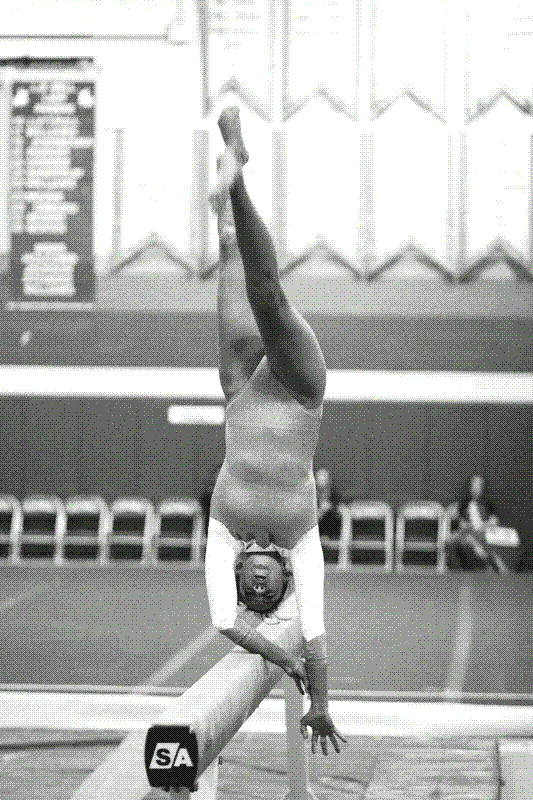 High School Gymnastics